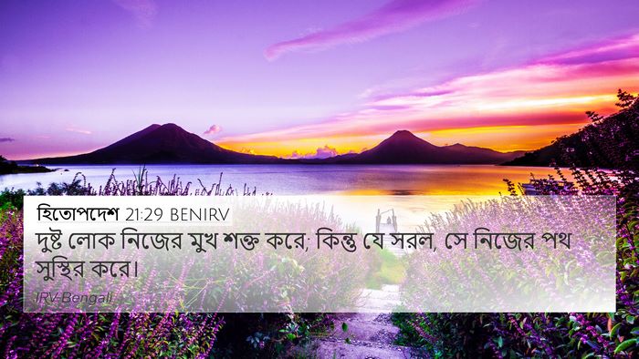 হিতোপদেশ 21:29 BENIRV Bible Verse Image