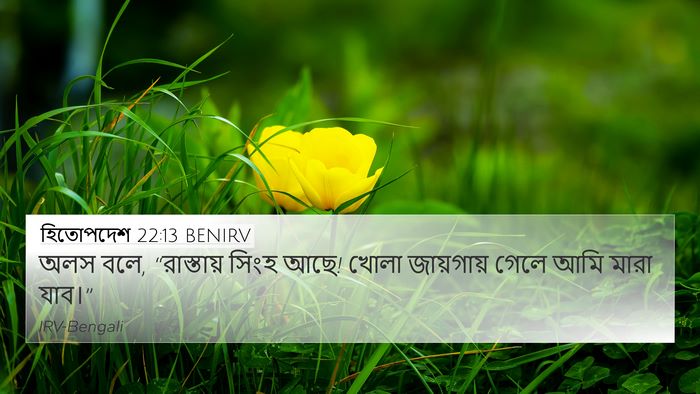 হিতোপদেশ 22:13 BENIRV Bible Verse Image