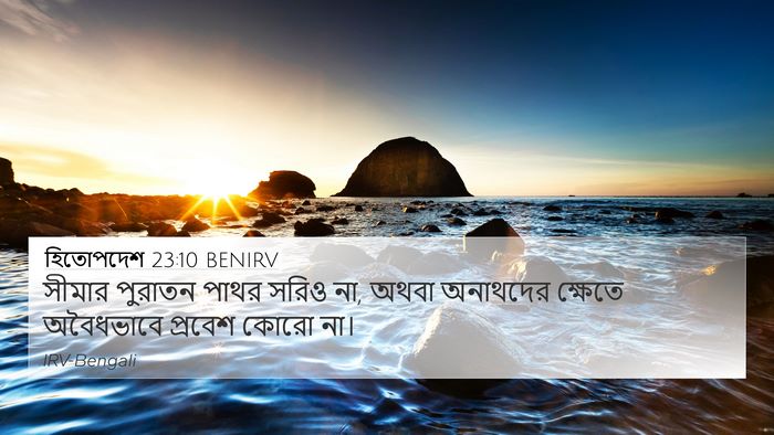 হিতোপদেশ 23:10 BENIRV Bible Verse Image