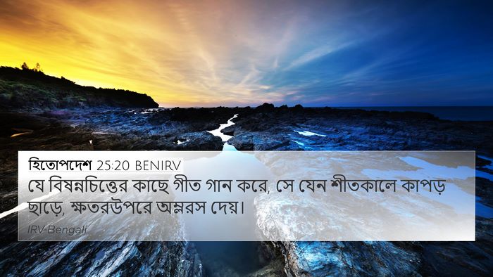 হিতোপদেশ 25:20 BENIRV Bible Verse Image