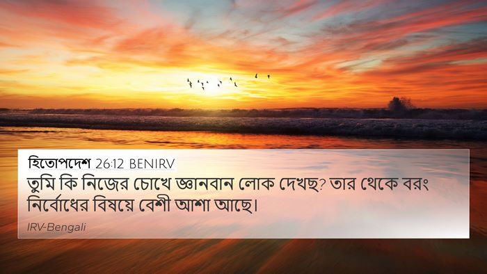 হিতোপদেশ 26:12 BENIRV Bible Verse Image