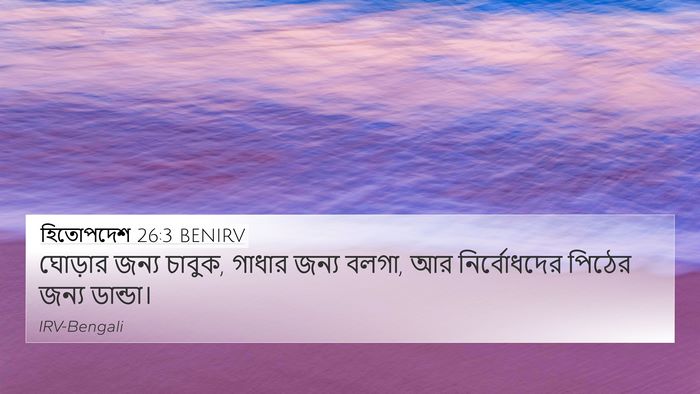 হিতোপদেশ 26:3 BENIRV Bible Verse Image