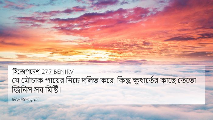 হিতোপদেশ 27:7 BENIRV 4K Wallpaper - যে মৌচাক পায়ের - 4K Wallpaper Bible Verse