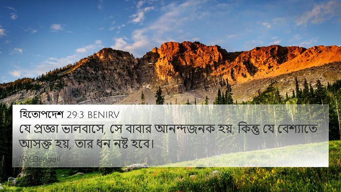 হিতোপদেশ 29:3 BENIRV Bible Verse Image