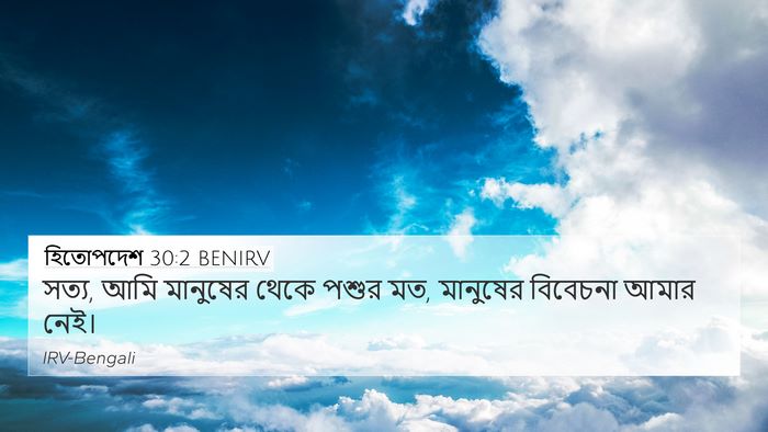 হিতোপদেশ 30:2 BENIRV Bible Verse Image
