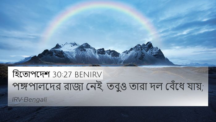 হিতোপদেশ 30:27 BENIRV Bible Verse Image