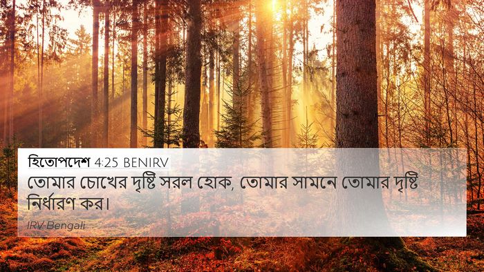 হিতোপদেশ 4:25 BENIRV Bible Verse Image