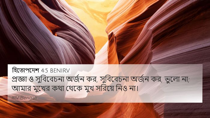 হিতোপদেশ 4:5 BENIRV Bible Verse Image