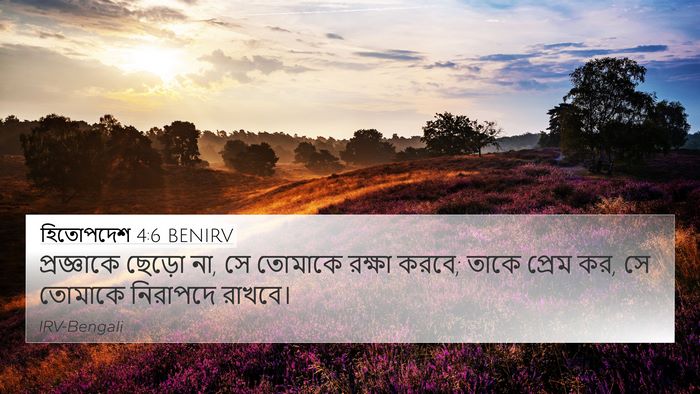 হিতোপদেশ 4:6 BENIRV Bible Verse Image