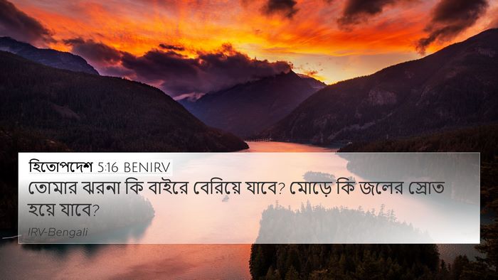 হিতোপদেশ 5:16 BENIRV 4K Wallpaper - তোমার ঝরনা কি - 4K Wallpaper Bible Verse