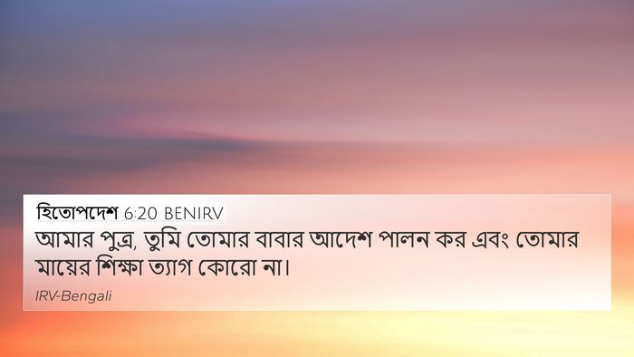হিতোপদেশ 6:20 BENIRV Bible Verse Image