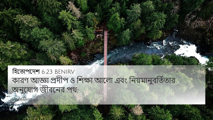 হিতোপদেশ 6:23 BENIRV Bible Verse Image
