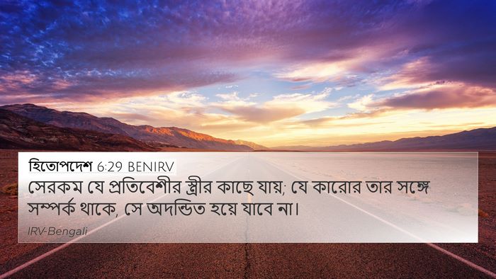হিতোপদেশ 6:29 BENIRV Bible Verse Image