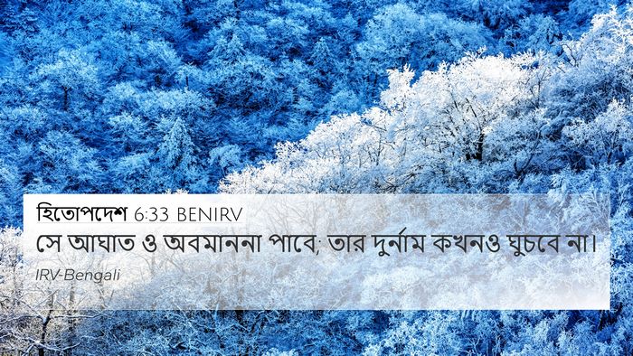 হিতোপদেশ 6:33 BENIRV Bible Verse Image