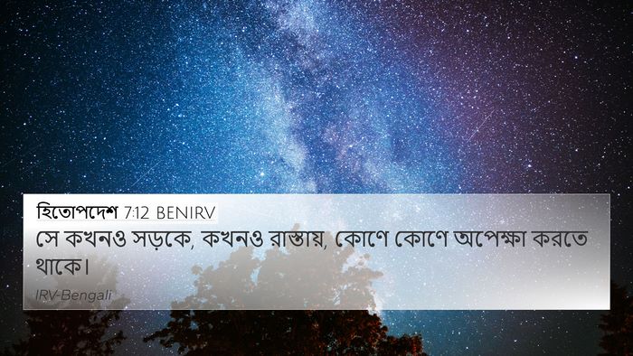 হিতোপদেশ 7:12 BENIRV Bible Verse Image