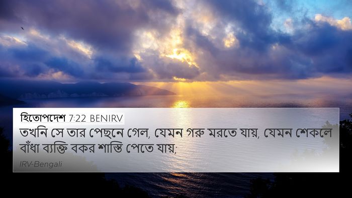 হিতোপদেশ 7:22 BENIRV Bible Verse Image