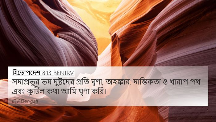 হিতোপদেশ 8:13 BENIRV Bible Verse Image