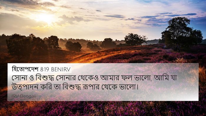 হিতোপদেশ 8:19 BENIRV Bible Verse Image