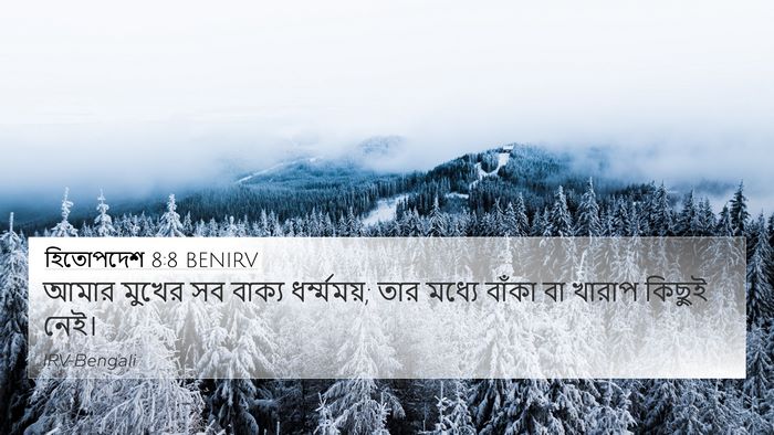 হিতোপদেশ 8:8 BENIRV 4K Wallpaper - আমার মুখের সব - 4K Wallpaper Bible Verse