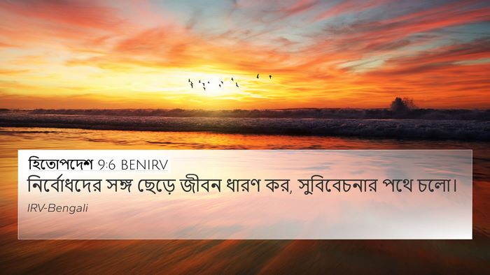 হিতোপদেশ 9:6 BENIRV Bible Verse Image