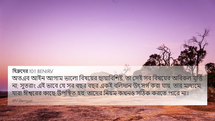 হিব্রুদের 10:1 BENIRV Bible Verse Image