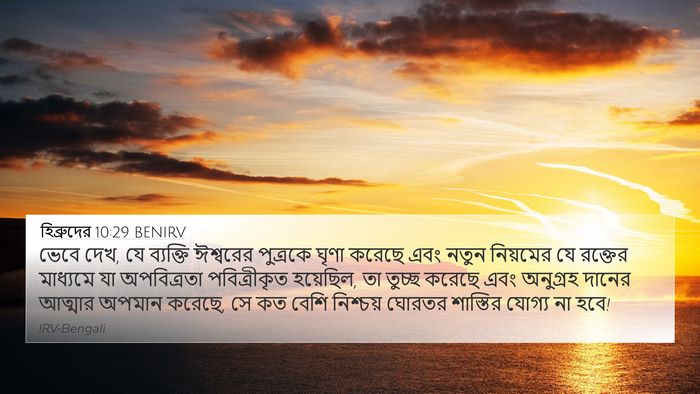 হিব্রুদের 10:29 BENIRV Bible Verse Image