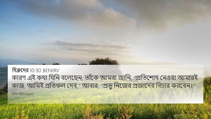 হিব্রুদের 10:30 BENIRV Bible Verse Image