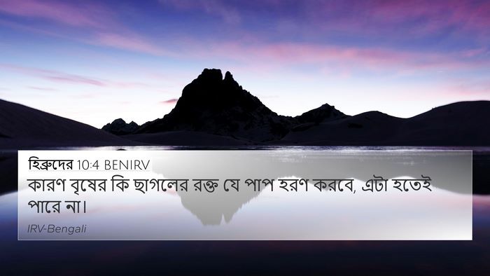 হিব্রুদের 10:4 BENIRV Bible Verse Image
