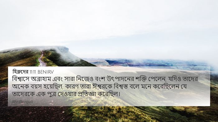 হিব্রুদের 11:11 BENIRV Bible Verse Image
