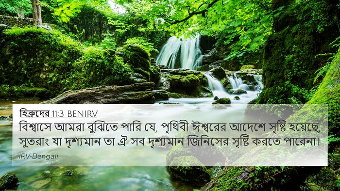 হিব্রুদের 11:3 BENIRV Bible Verse Image