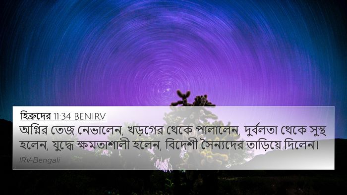 হিব্রুদের 11:34 BENIRV Bible Verse Image