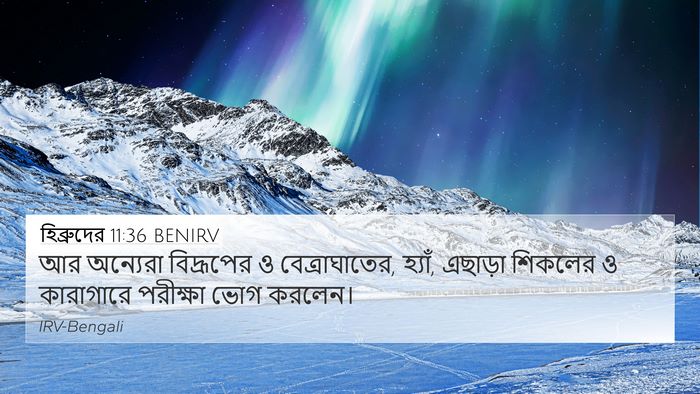 হিব্রুদের 11:36 BENIRV Bible Verse Image