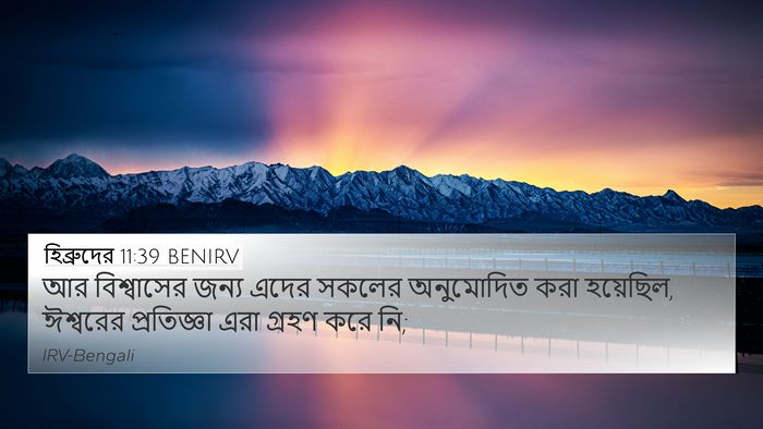 হিব্রুদের 11:39 BENIRV Bible Verse Image