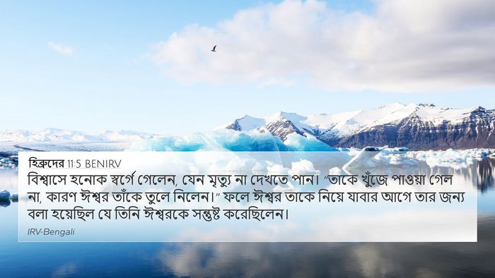 হিব্রুদের 11:5 BENIRV Bible Verse Image