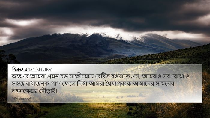 হিব্রুদের 12:1 BENIRV Bible Verse Image