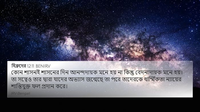 হিব্রুদের 12:11 BENIRV Bible Verse Image
