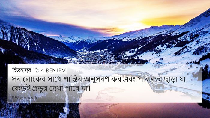 হিব্রুদের 12:14 BENIRV Bible Verse Image