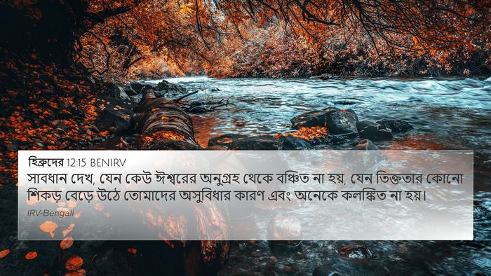 হিব্রুদের 12:15 BENIRV Bible Verse Image