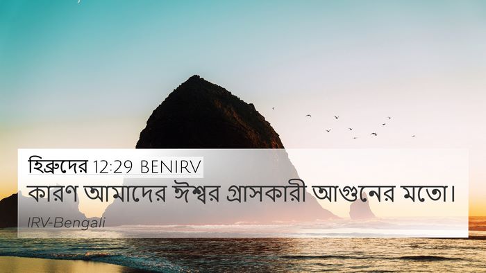 হিব্রুদের 12:29 BENIRV Bible Verse Image