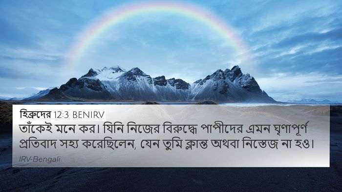 হিব্রুদের 12:3 BENIRV Bible Verse Image
