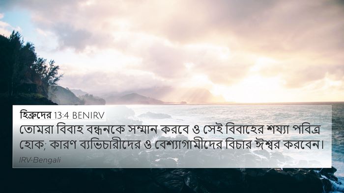 হিব্রুদের 13:4 BENIRV Bible Verse Image