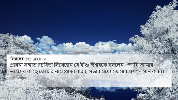 হিব্রুদের 2:12 BENIRV Bible Verse Image