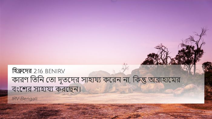 হিব্রুদের 2:16 BENIRV 4K Wallpaper - কারণ তিনি তো - 4K Wallpaper Bible Verse