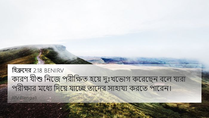 হিব্রুদের 2:18 BENIRV Bible Verse Image