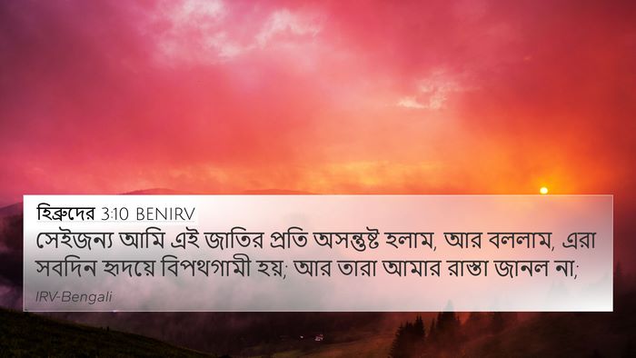 হিব্রুদের 3:10 BENIRV Bible Verse Image