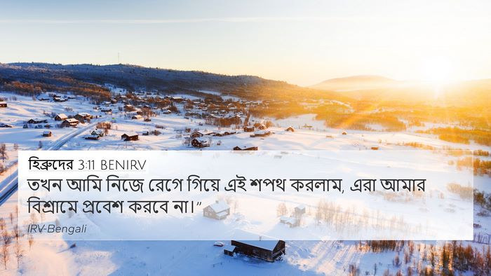 হিব্রুদের 3:11 BENIRV Bible Verse Image