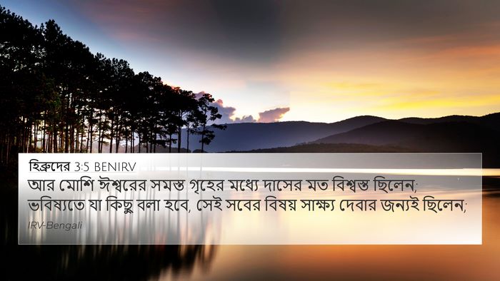 হিব্রুদের 3:5 BENIRV Bible Verse Image