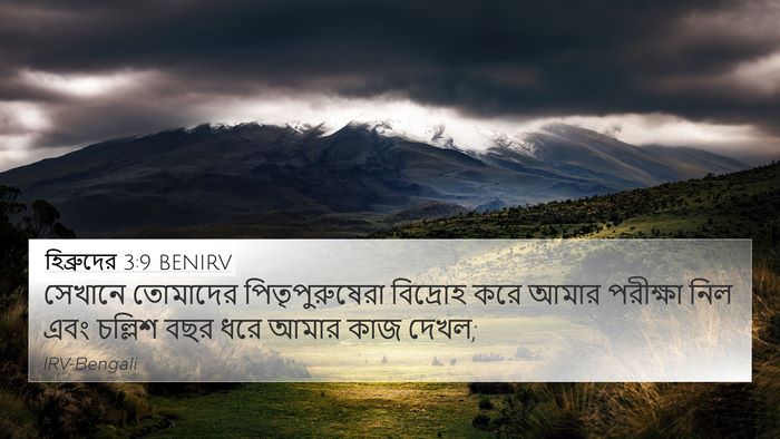 হিব্রুদের 3:9 BENIRV Bible Verse Image