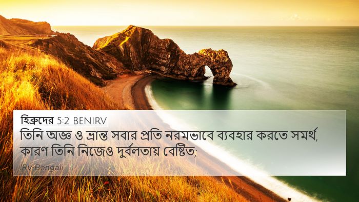 হিব্রুদের 5:2 BENIRV Bible Verse Image