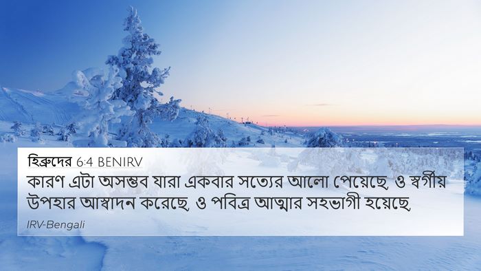 হিব্রুদের 6:4 BENIRV Bible Verse Image